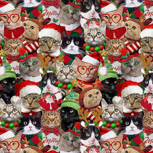 Santa Hat Cats Fabric - 100% cotton - Timeless Treasures - Christmas Holidays - CD3498