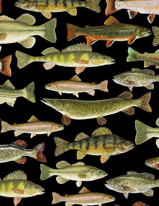 Fish fabric - 100% Cotton - Timeless Treasures - Fishing CD6405