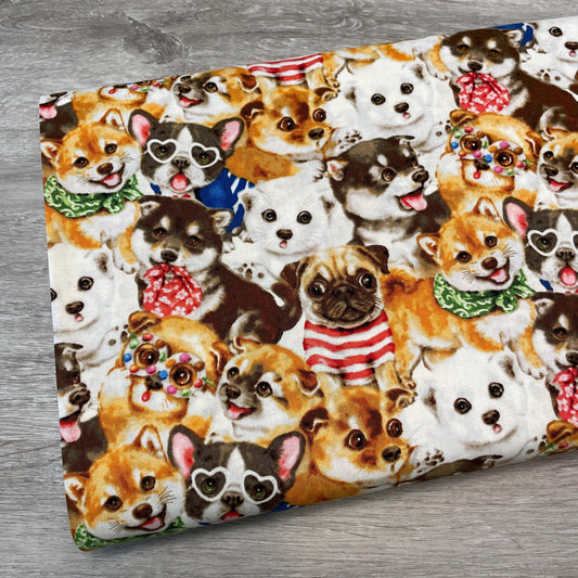 Dog fabric - Trendy Pups