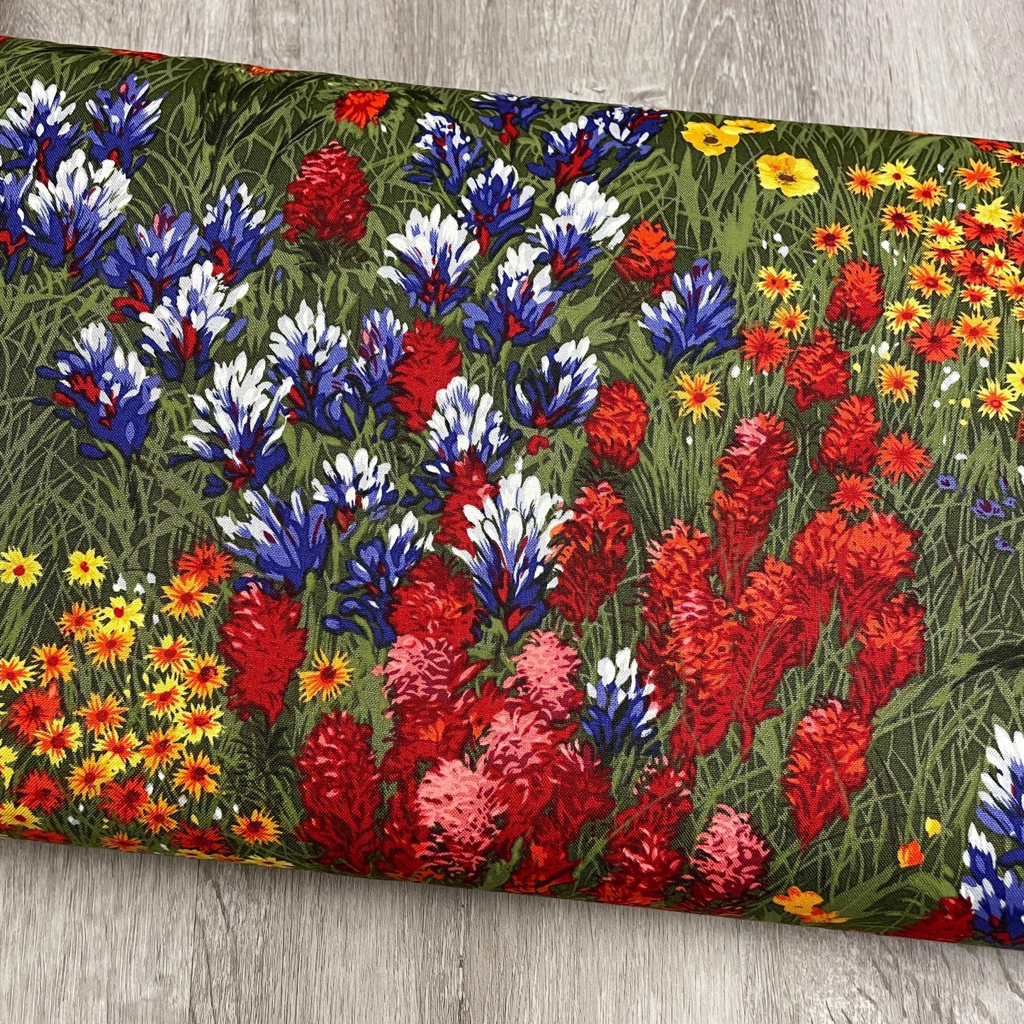 WildFlower Fabric - Michael Miller - 100% Cotton CX0400-MULT-D - Texas Wildflowers