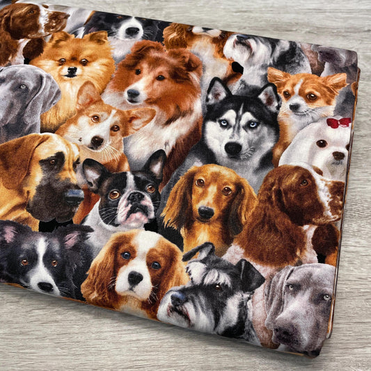 Dog fabric - Dog Breeds All Over - 1314-Black