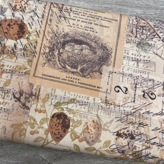 Tim Holtz Egg & Nest - Multi - 100% Cotton Fabric - FreeSpirit - Eclectic Elements - Foundations Collection