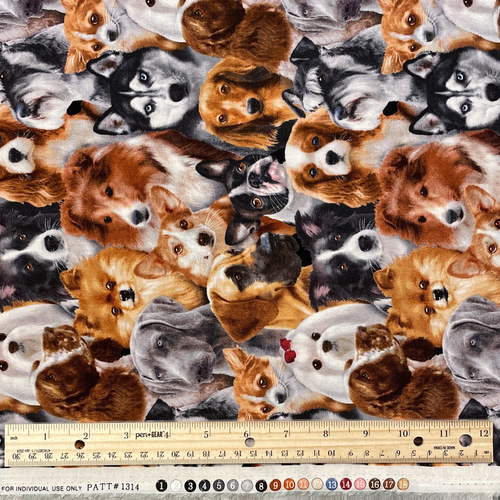 Dog fabric - Dog Breeds All Over - 1314-Black