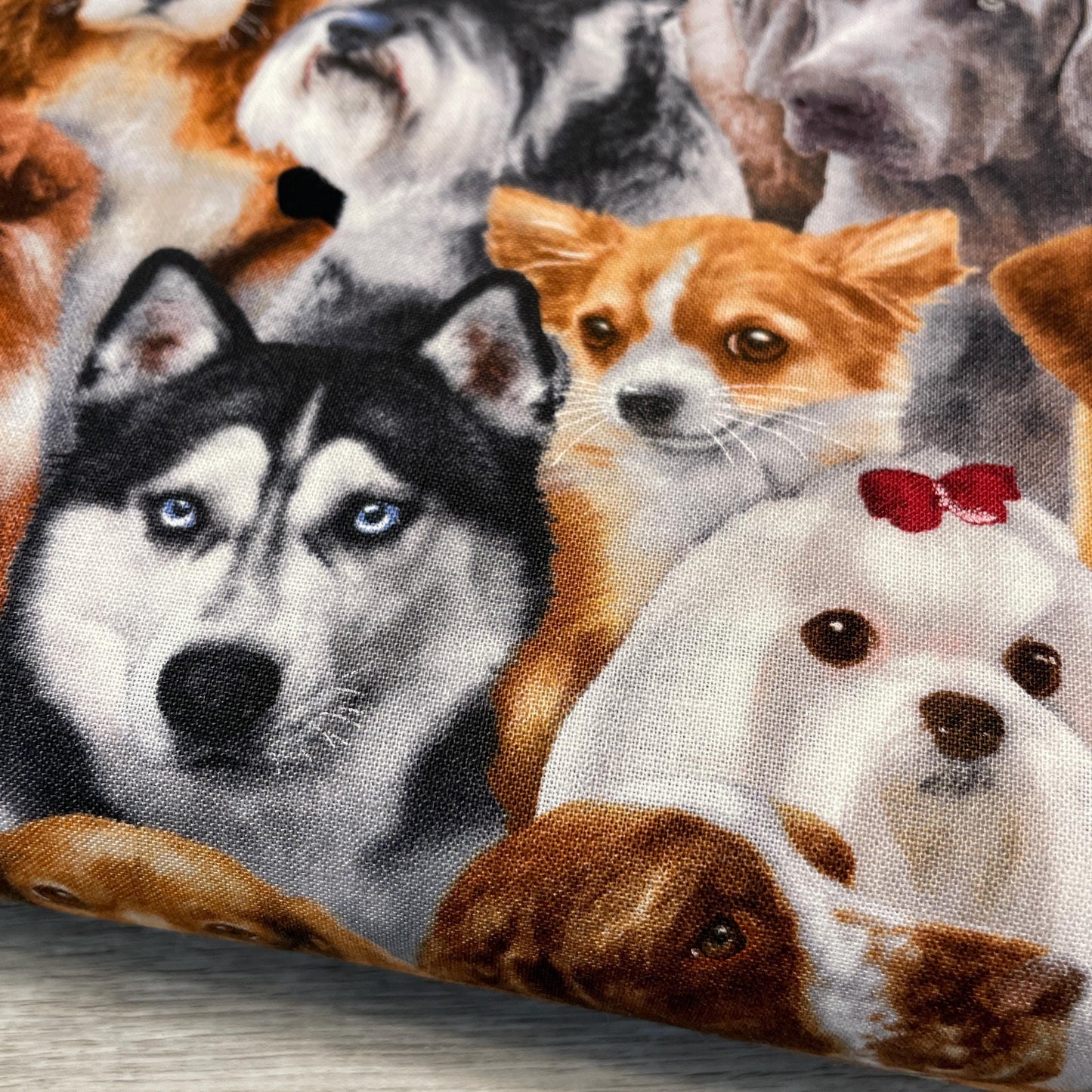 Dog fabric - Dog Breeds All Over - 1314-Black