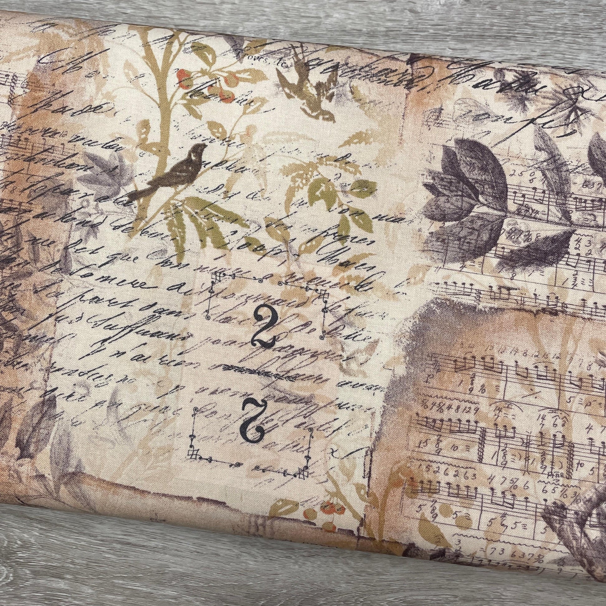 Tim Holtz Egg & Nest - Multi - 100% Cotton Fabric - FreeSpirit - Eclectic Elements - Foundations Collection