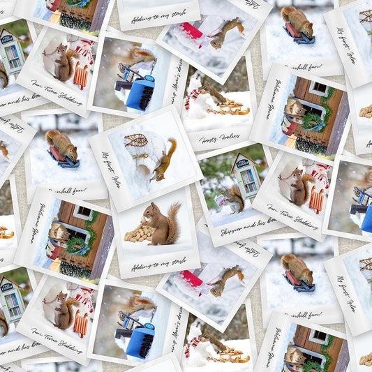 The Secret Life of Squirrels II Digital Photos - Clothworks - Y4221-55 Multi Color