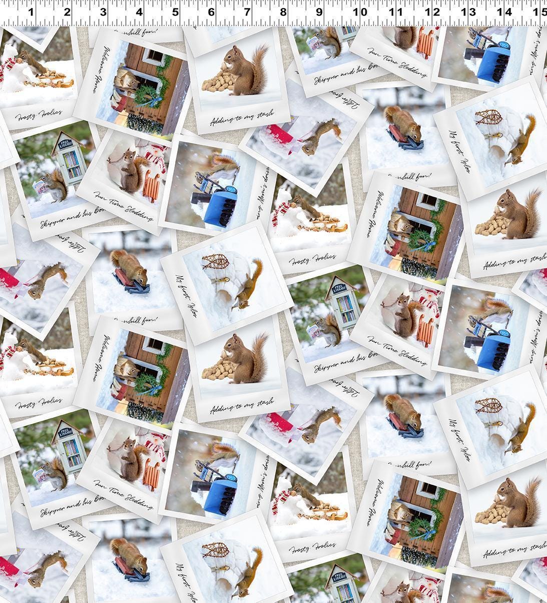 The Secret Life of Squirrels II Digital Photos - Clothworks - Y4221-55 Multi Color