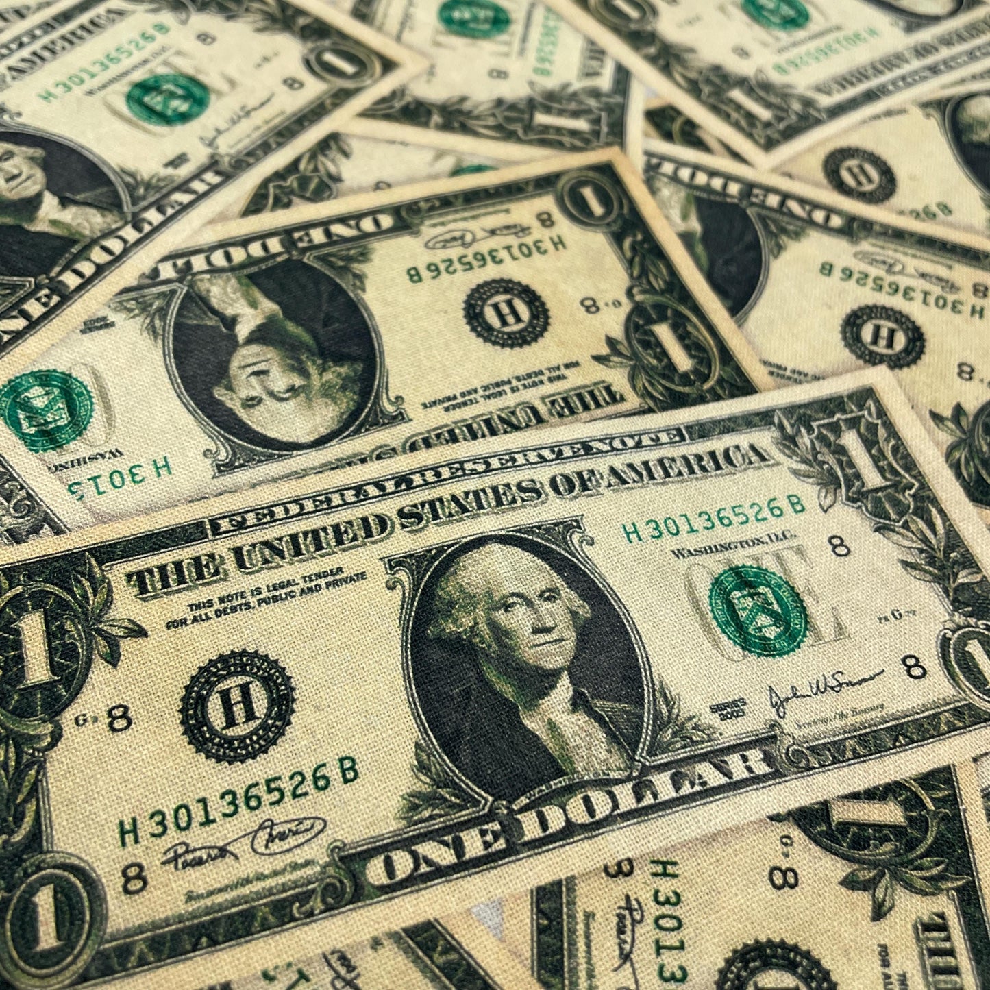 Money Fabric - Dollar Bills