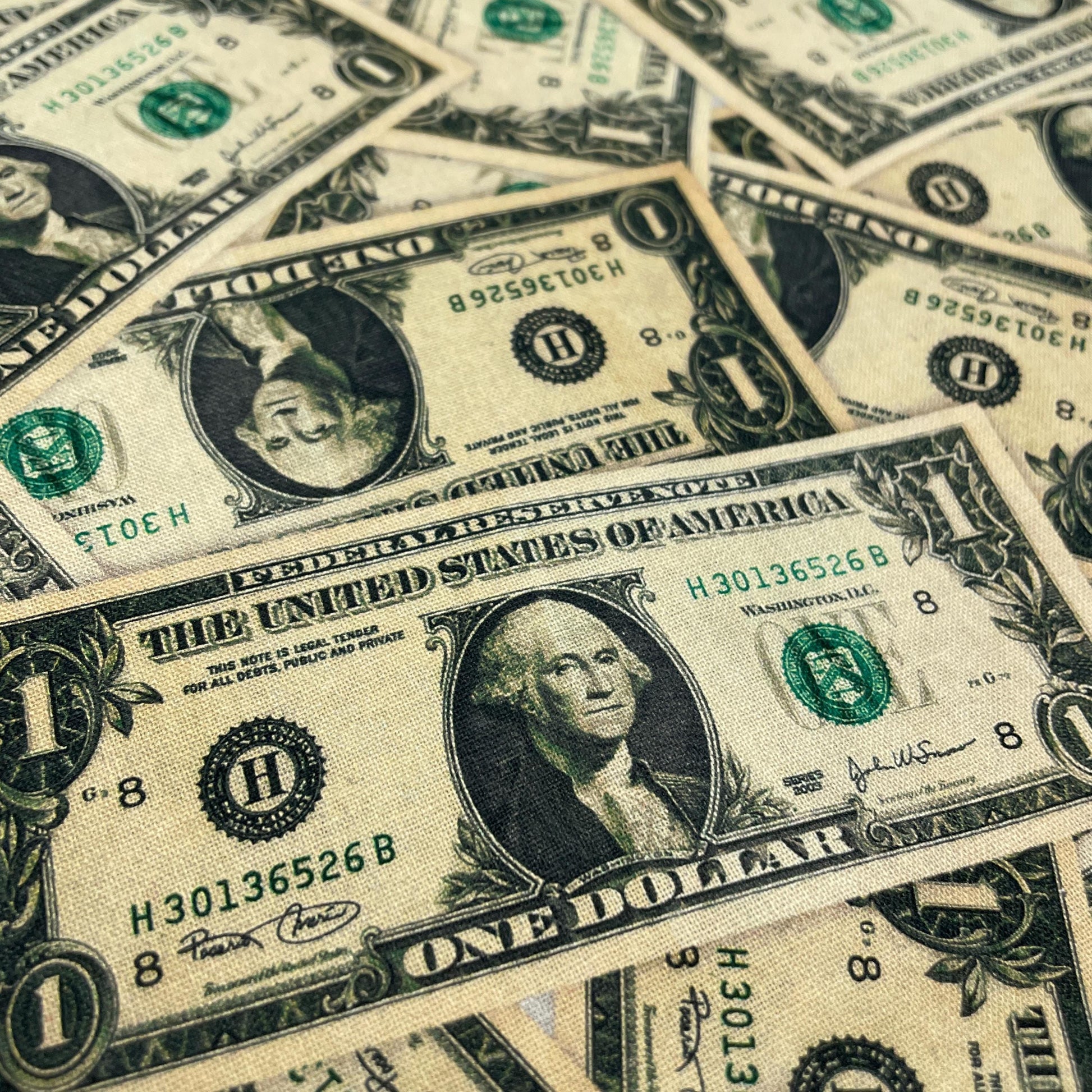 Money Fabric - Dollar Bills