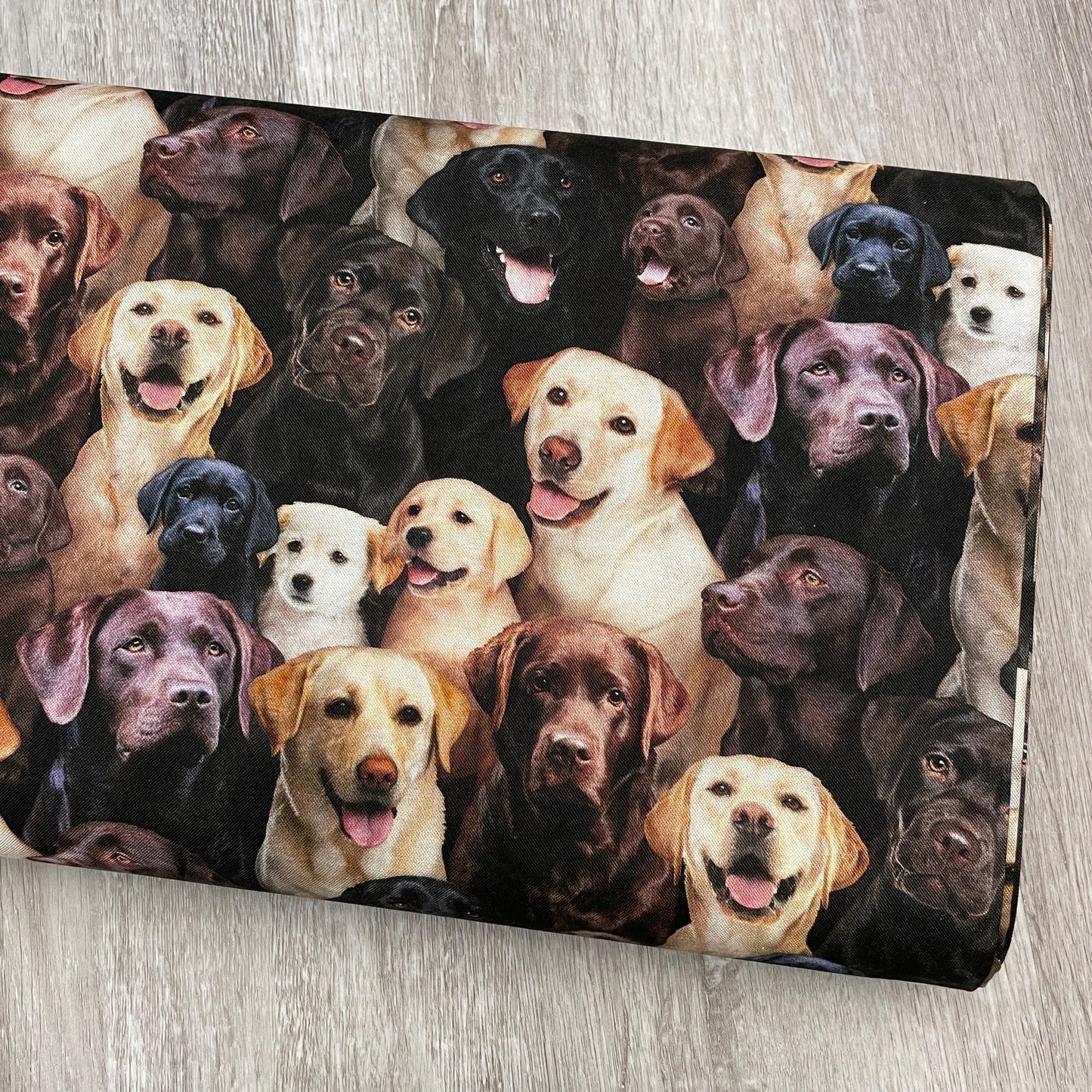 Labrador fabric - 686-multi - Elizabeth's Studio - 100% Cotton - Best Friend Collection