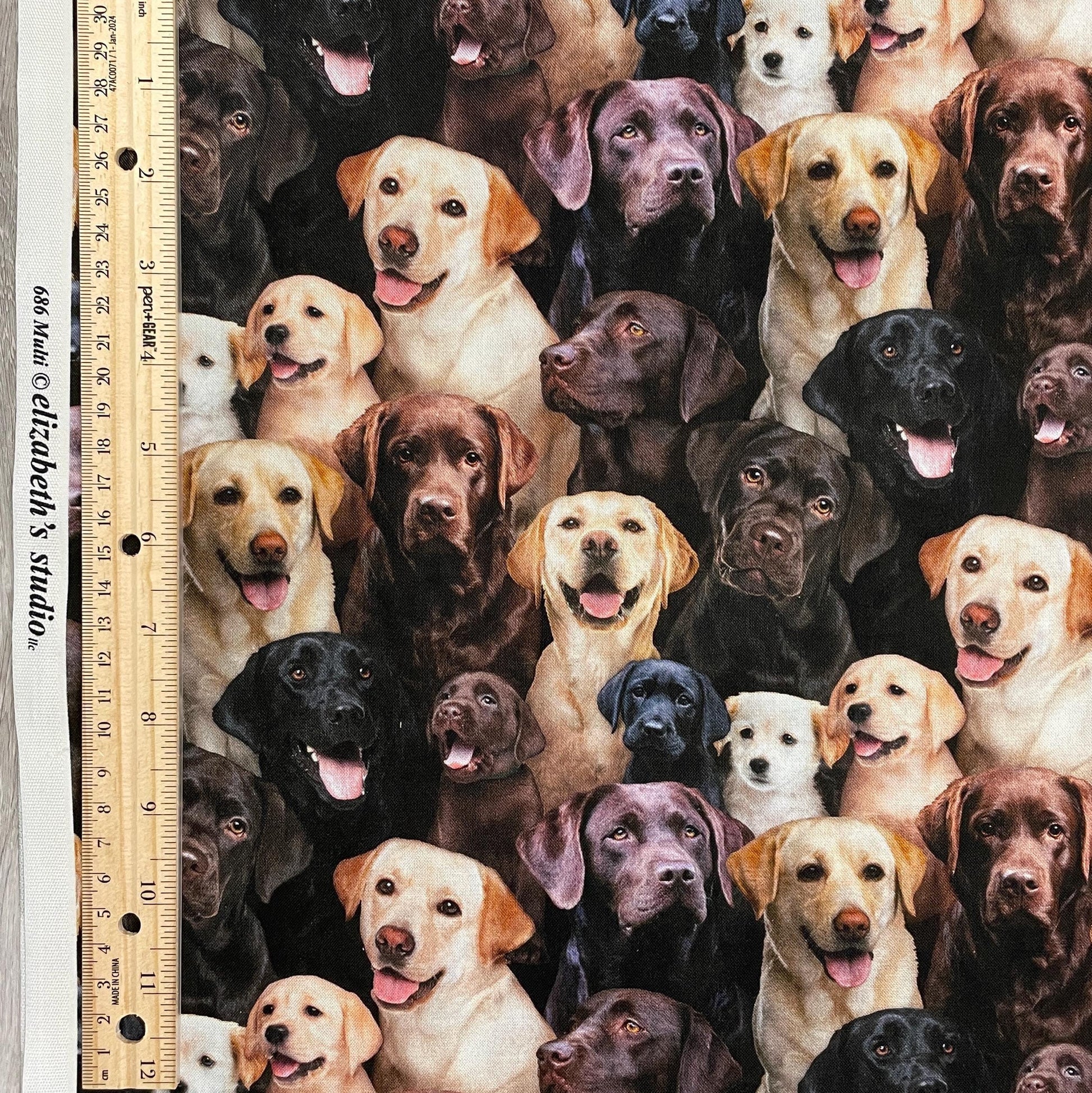 Labrador fabric - 686-multi - Elizabeth's Studio - 100% Cotton - Best Friend Collection