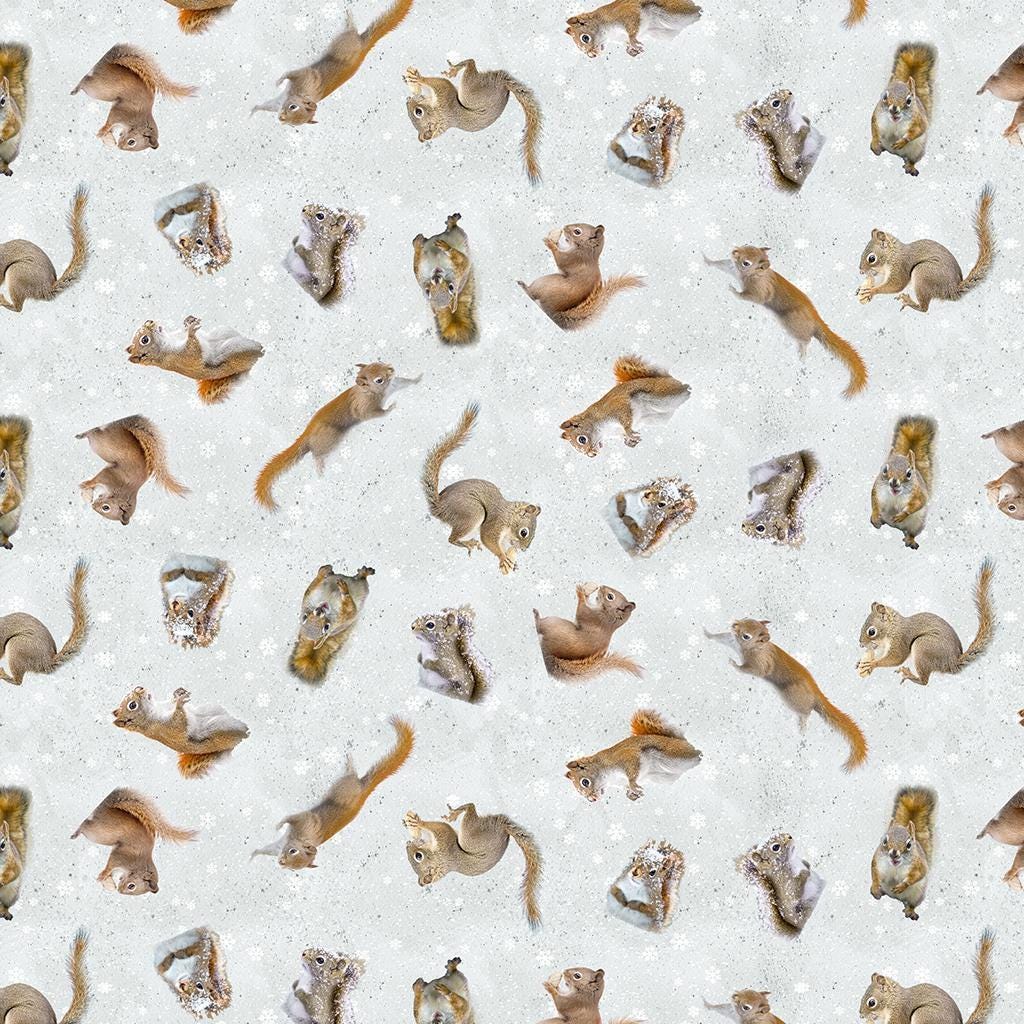 The Secret Life of Squirrels II Digital Squirrels - Clothworks - Y4222-116 Mist Gray