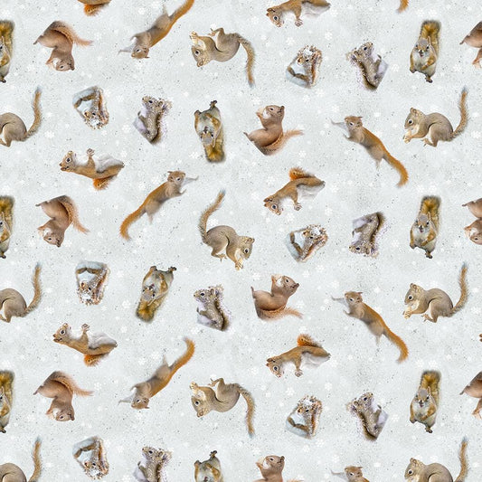 The Secret Life of Squirrels II Digital Squirrels - Clothworks - Y4222-116 Mist Gray