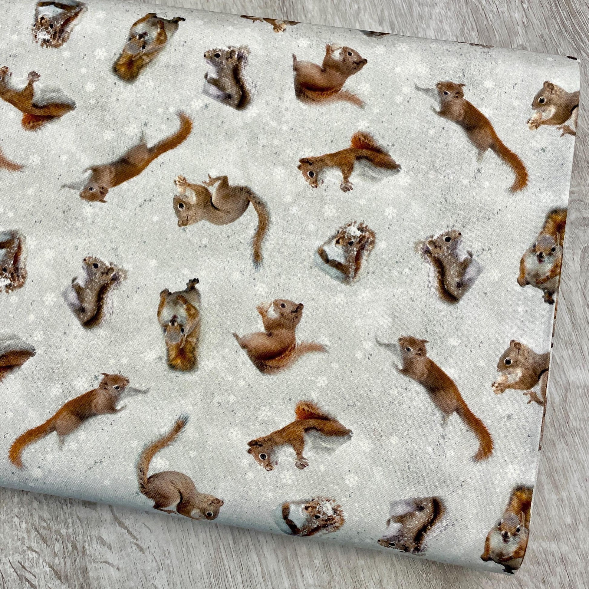 The Secret Life of Squirrels II Digital Squirrels - Clothworks - Y4222-116 Mist Gray