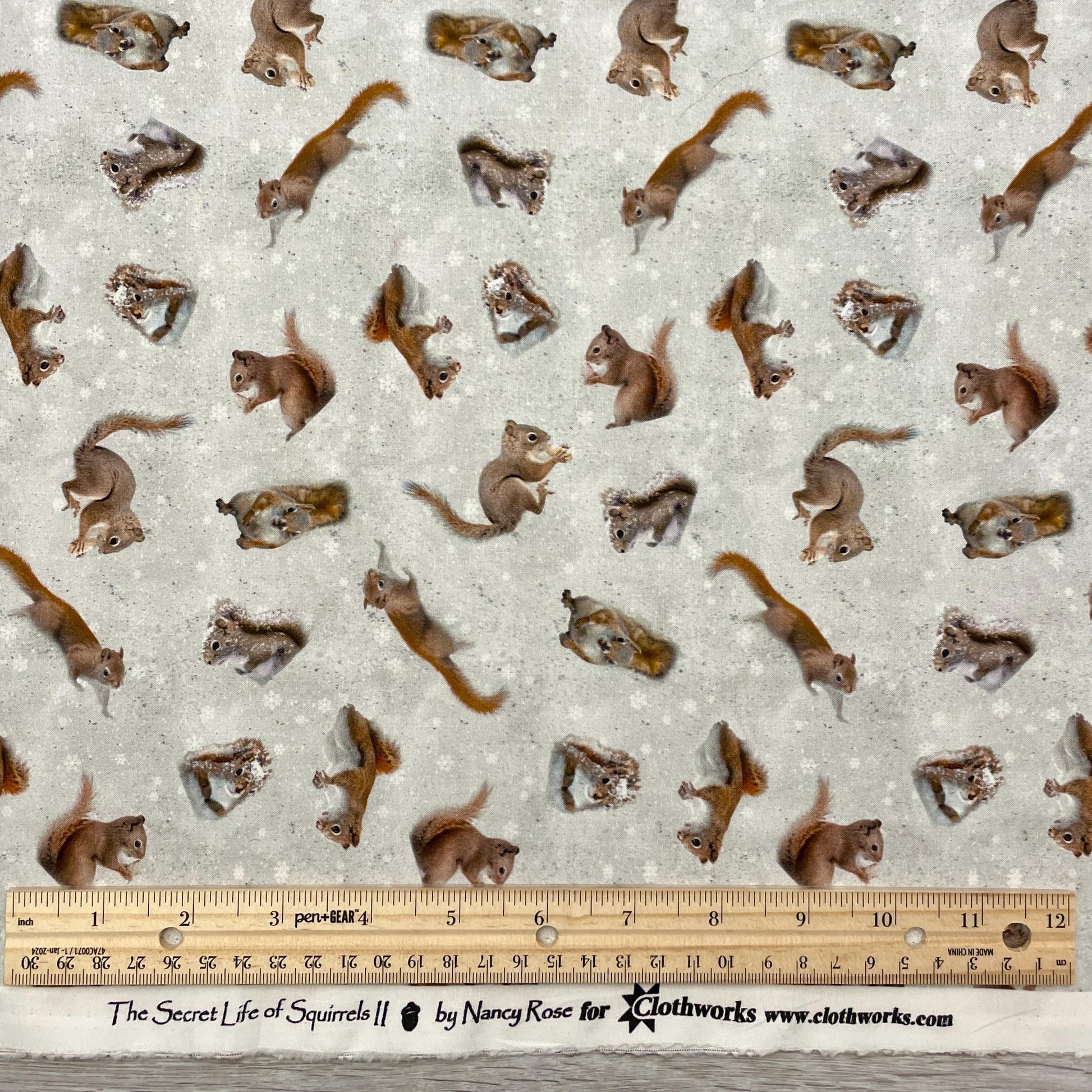 The Secret Life of Squirrels II Digital Squirrels - Clothworks - Y4222-116 Mist Gray
