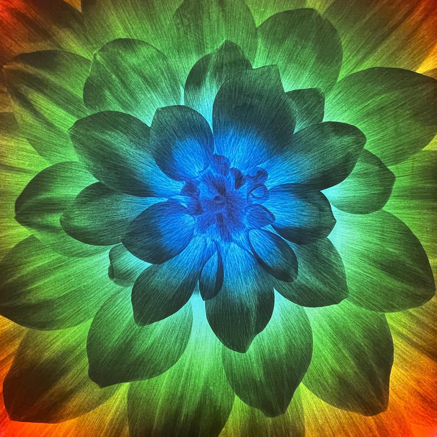 Spectrum Dream Big Panel - Cotton Fabric - 43" Square