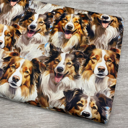 Collie fabric - Foust Exclusive Print - 100% Cotton