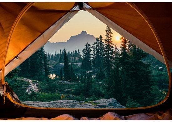 Camping Fabric Panel - 42 5/8" x 29 1/4" - 100% Cotton - Hoffman - Sleeping Under the Stars - Forest Landscape