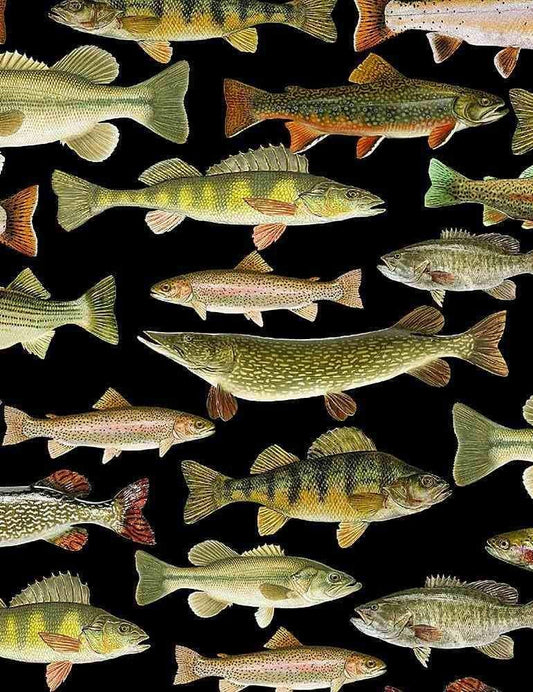 Fish fabric - 100% Cotton - Timeless Treasures - Fishing CD6405