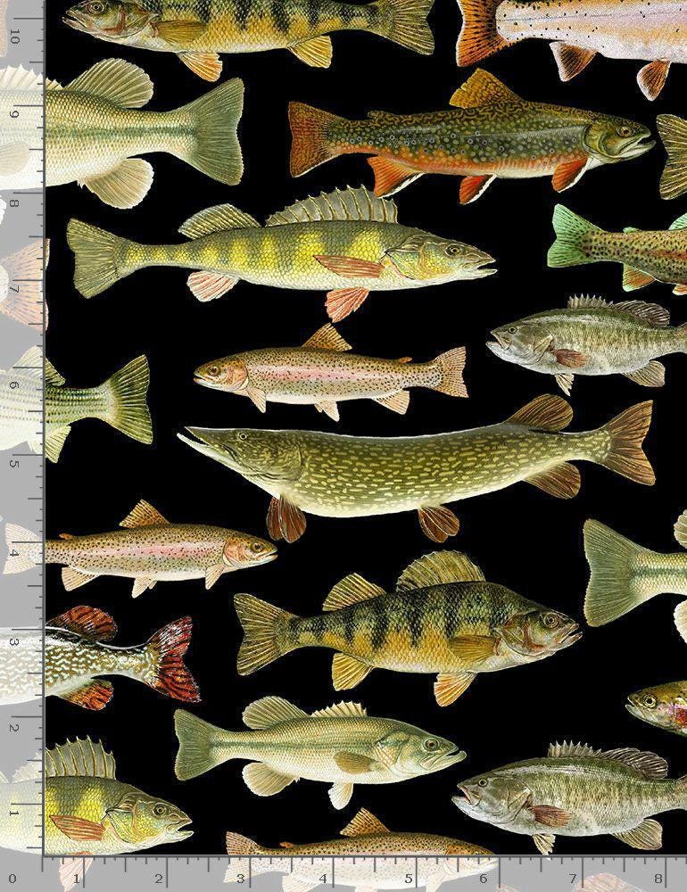 Fish fabric - 100% Cotton - Timeless Treasures - Fishing CD6405