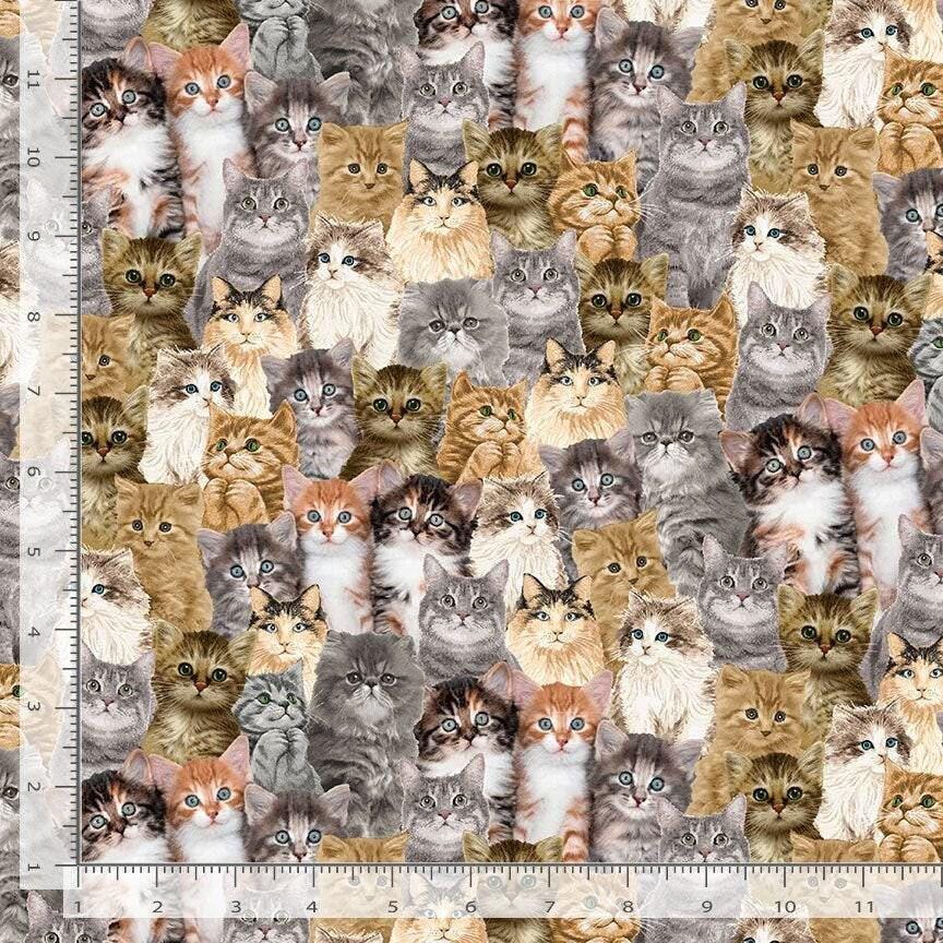 Cat Fabric - Packed Realistic Cats - Timeless Treasures - You had me at Meow - 100% Cotton - Kitty Kitten material - Ships NEXT DAY