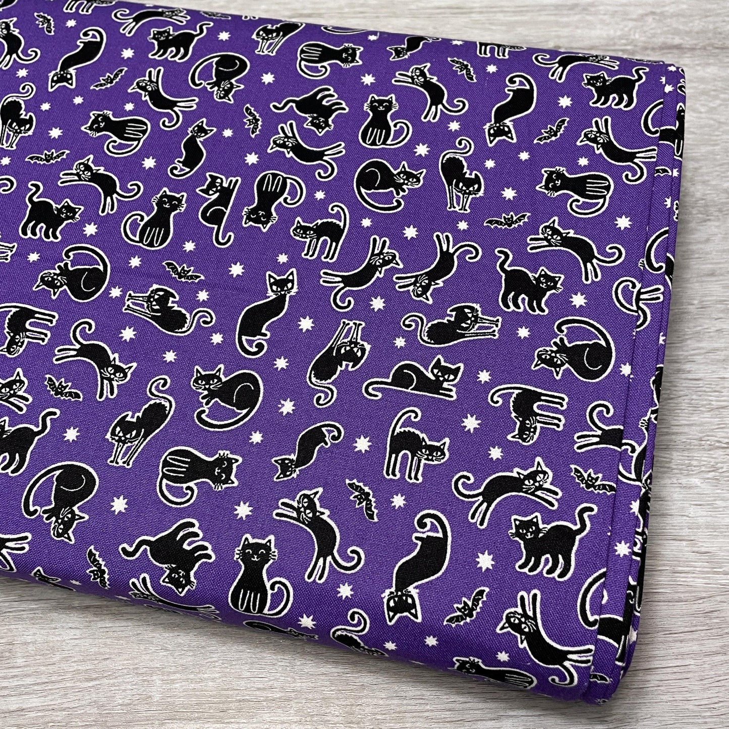 Scaredy Cats Fabric - Benartex Kanvas Studio- 100% Cotton