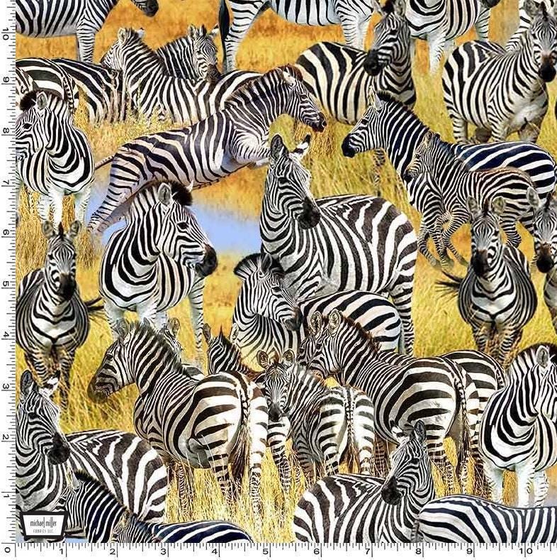 Zebra Fabric - Michael Miller - African Safari wilderness - Serengeti Plains - Savanna Dazzle