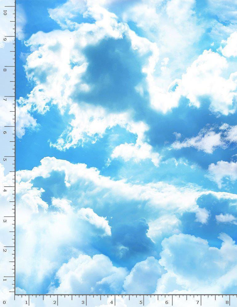 Cloud Fabric - Timeless Treasures - SKY-C8463 BLUE