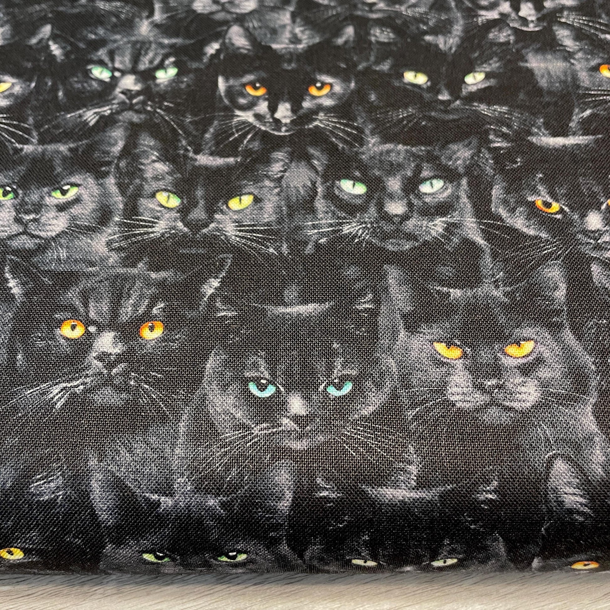 Black Cat Fabric - Wicked Black Cats Magic - Timeless Treasures - 100% Cotton - Mystick Library