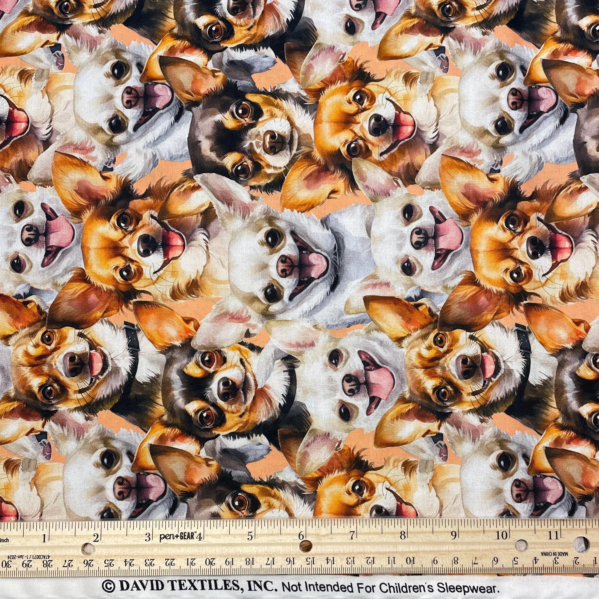 Chihuahua fabric - Foust Exclusive Print - 100% Cotton DX-4811-3C-1 Peach