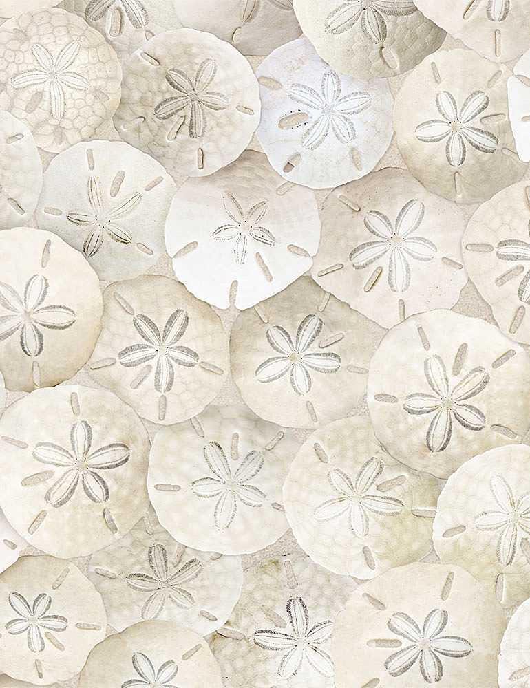 Packed Sand Dollars on Beach - 100% Cotton Fabric - Timeless Treasures