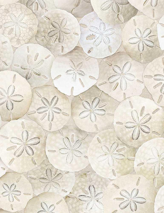 Packed Sand Dollars on Beach - 100% Cotton Fabric - Timeless Treasures