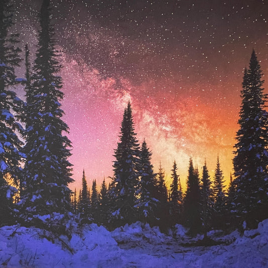 Night Sky Fabric Panel - Twilight - 42" x 29"