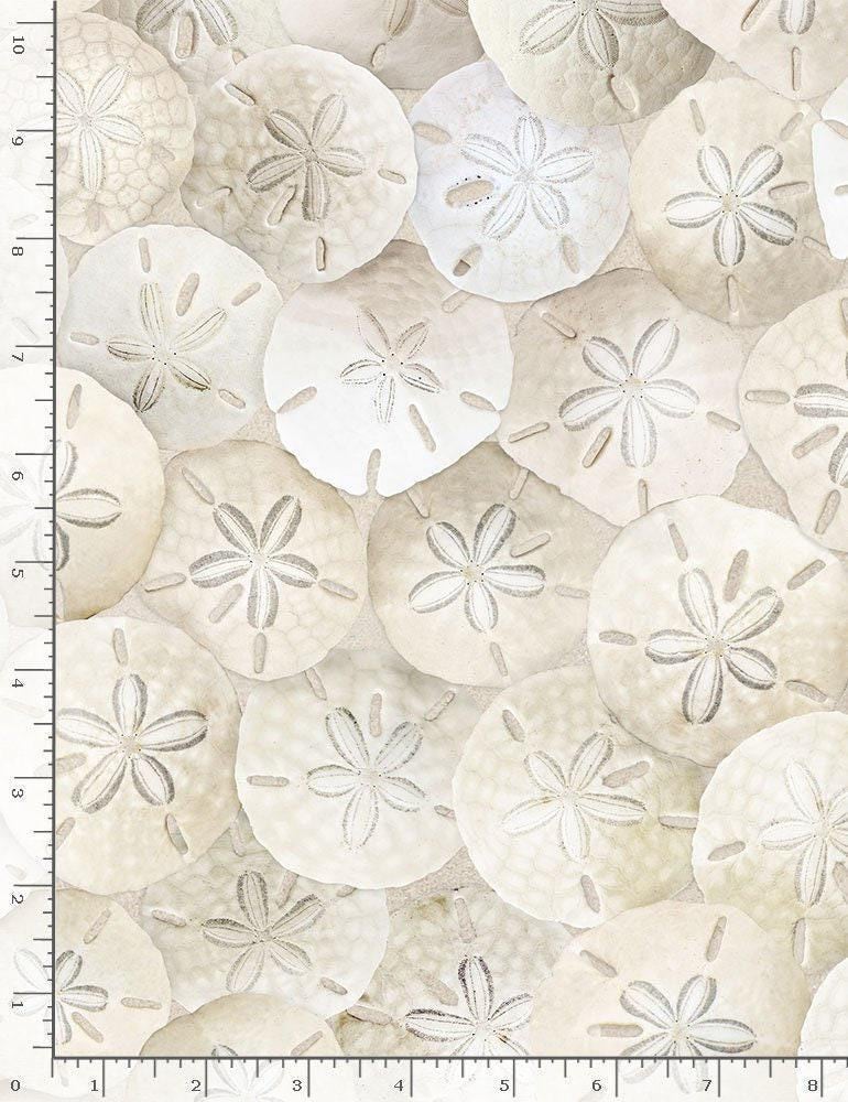Packed Sand Dollars on Beach - 100% Cotton Fabric - Timeless Treasures