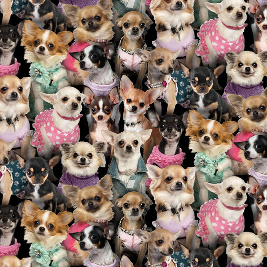 Chihuahua fabric - Elizabeth's Studio - 100% Cotton - 707 Multi