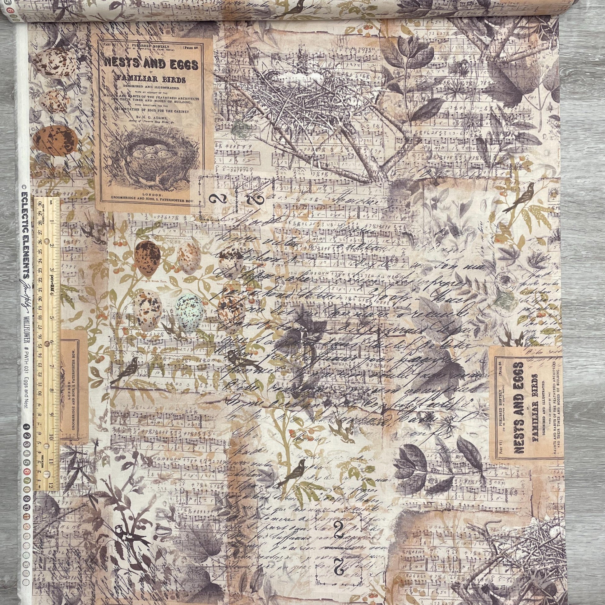 Tim Holtz Egg & Nest - Multi - 100% Cotton Fabric - FreeSpirit - Eclectic Elements - Foundations Collection