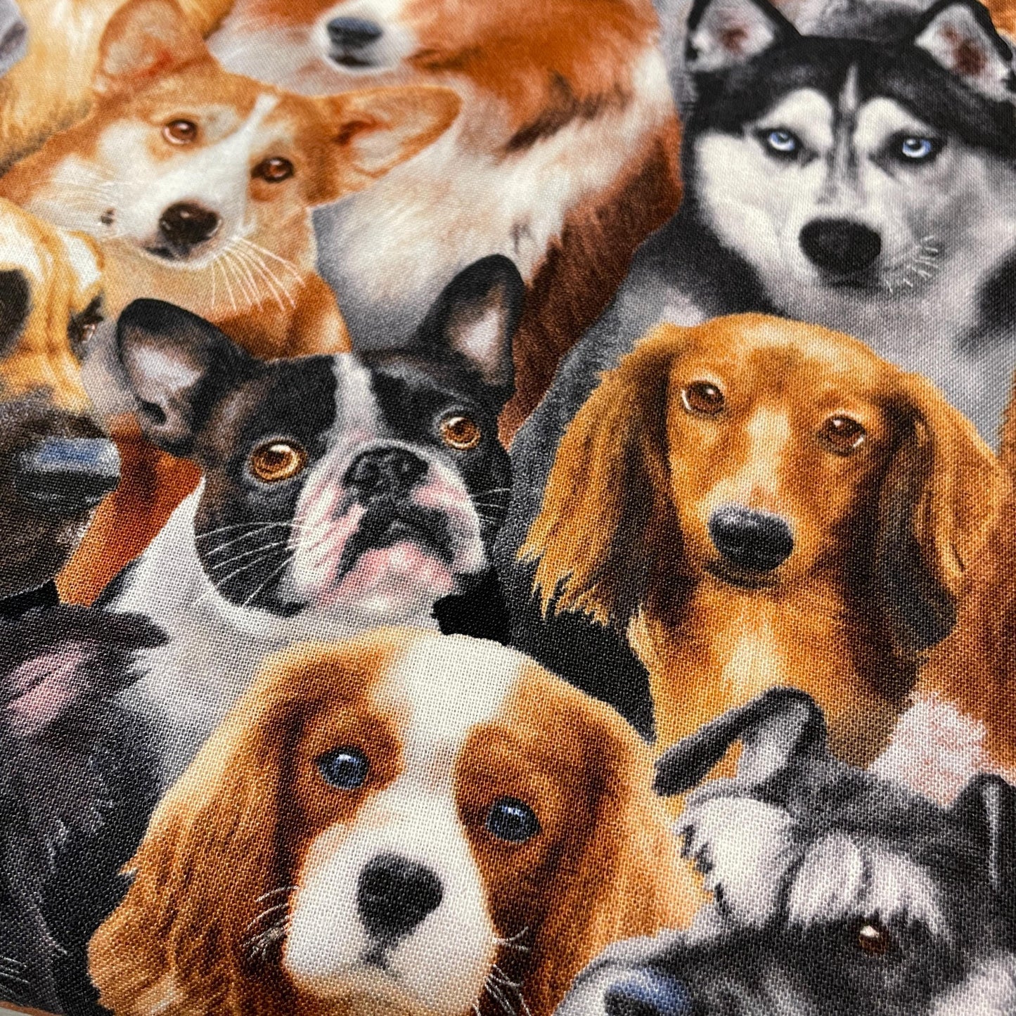 Dog fabric - Dog Breeds All Over - 1314-Black