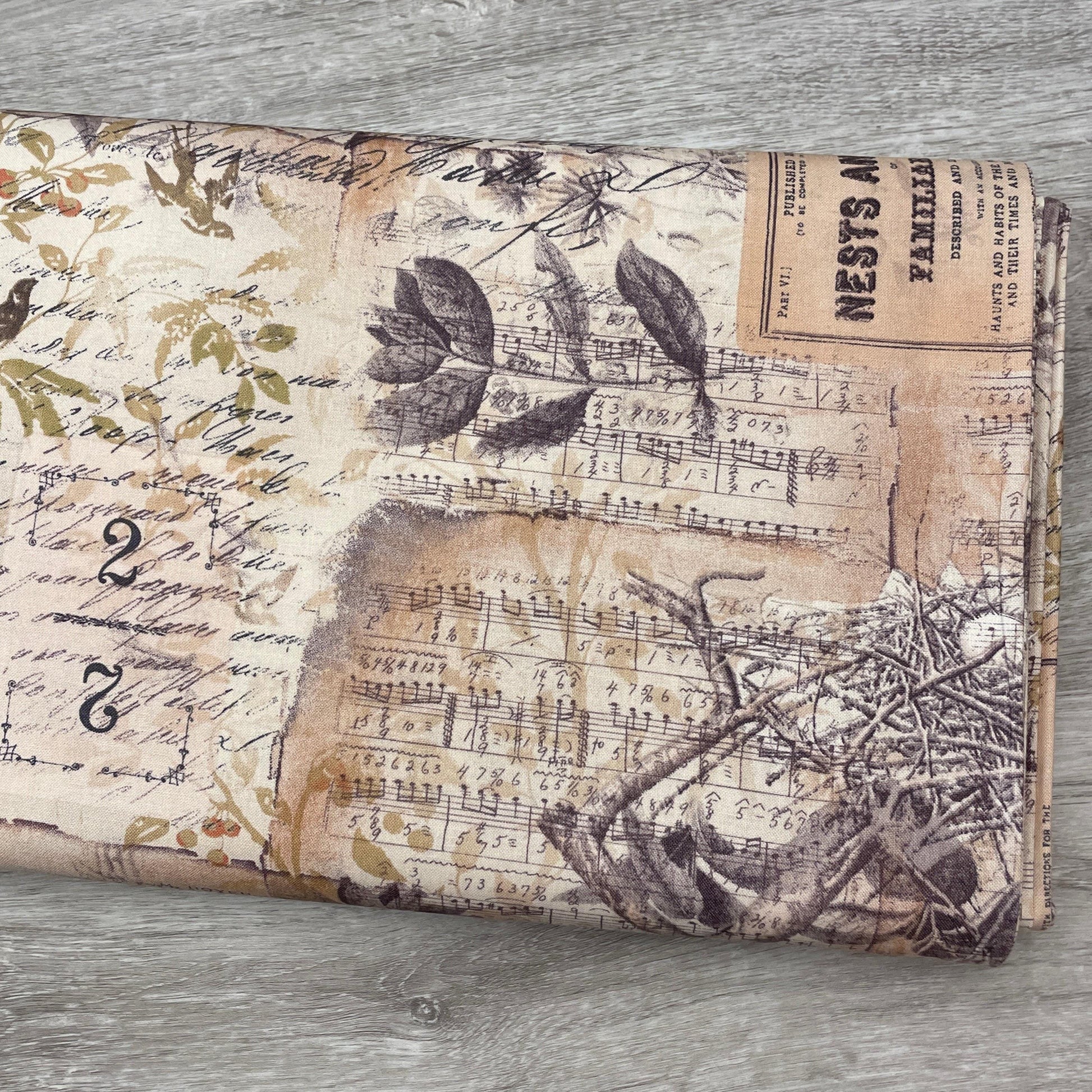 Tim Holtz Egg & Nest - Multi - 100% Cotton Fabric - FreeSpirit - Eclectic Elements - Foundations Collection