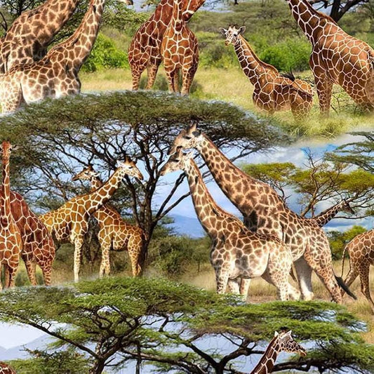 Giraffe Fabric - Michael Miller - 100% Cotton - African Safari wilderness - Serengeti Plains