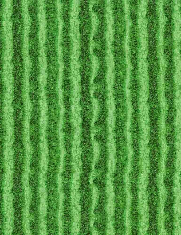 Watermelon Rind - Summer Picnic - Timeless Treasures - 100% Cotton Fabric - food theme fruit print - FRUIT-CD1138 GREEN