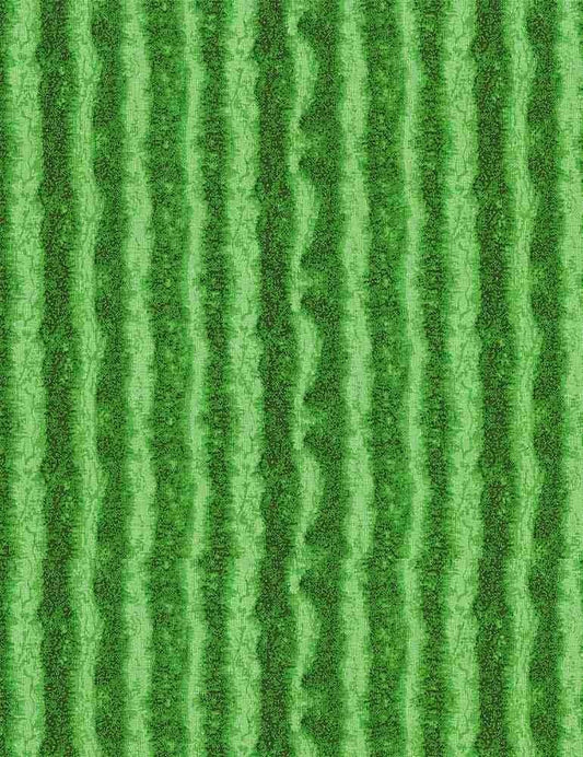 Watermelon Rind - Summer Picnic - Timeless Treasures - 100% Cotton Fabric - food theme fruit print - FRUIT-CD1138 GREEN
