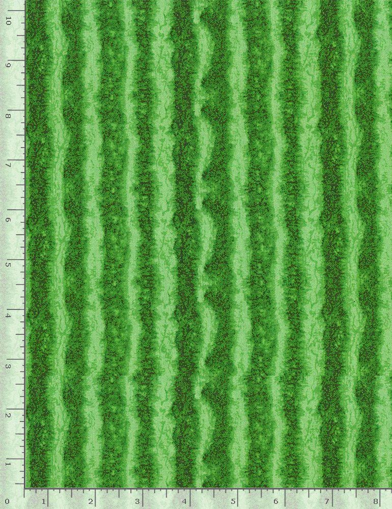 Watermelon Rind - Summer Picnic - Timeless Treasures - 100% Cotton Fabric - food theme fruit print - FRUIT-CD1138 GREEN