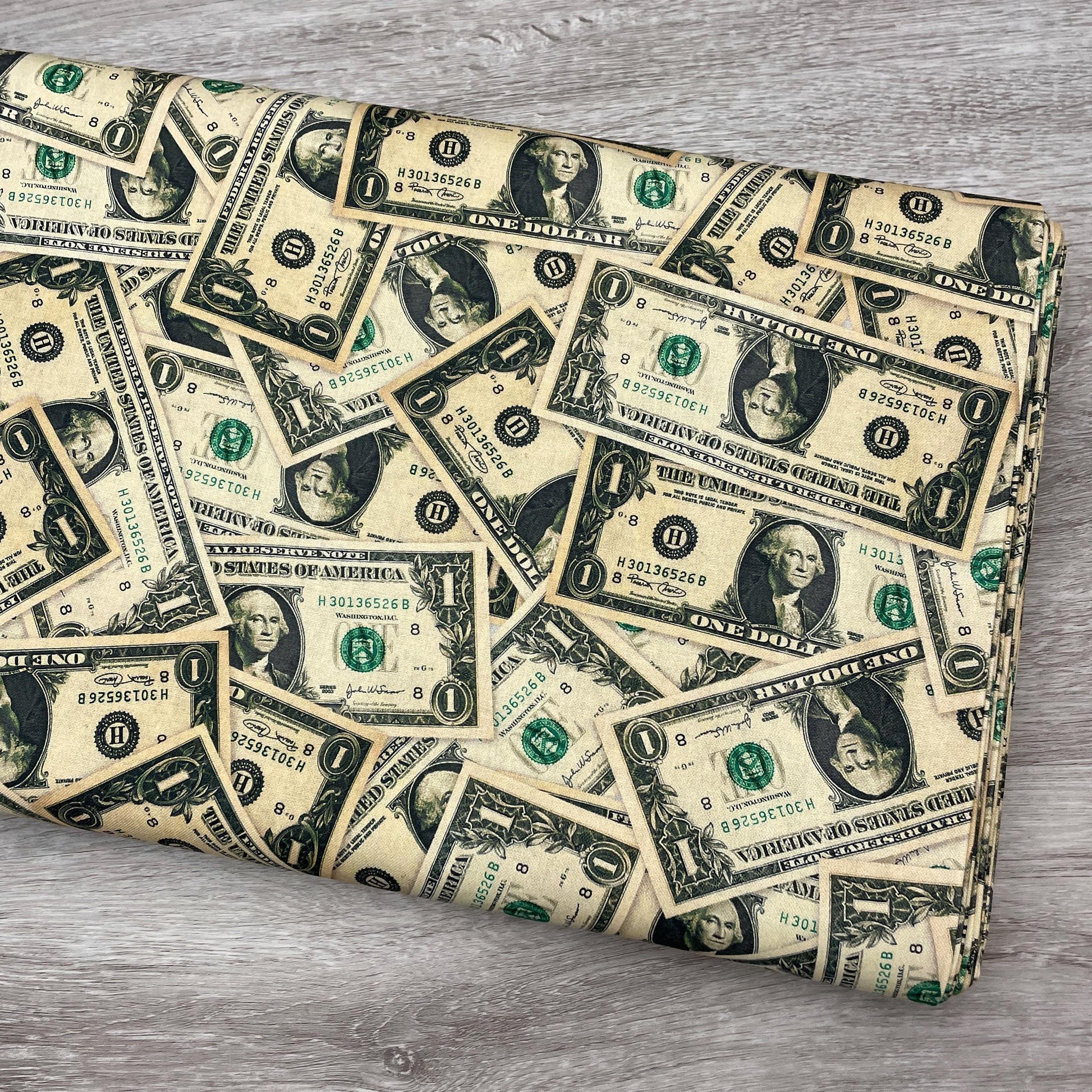 Money Fabric - Dollar Bills