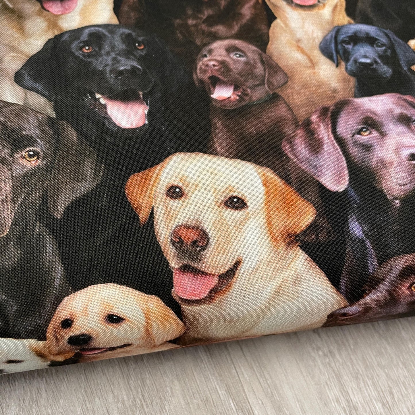 Labrador fabric - 686-multi - Elizabeth's Studio - 100% Cotton - Best Friend Collection