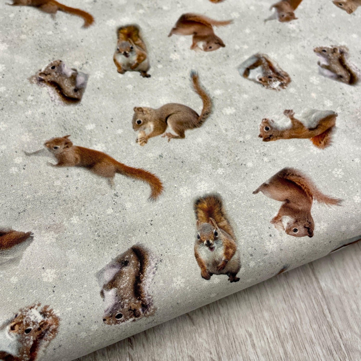 The Secret Life of Squirrels II Digital Squirrels - Clothworks - Y4222-116 Mist Gray