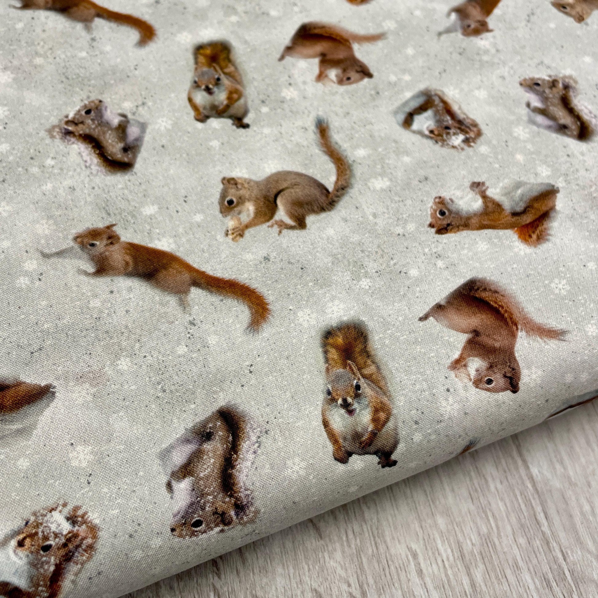 The Secret Life of Squirrels II Digital Squirrels - Clothworks - Y4222-116 Mist Gray