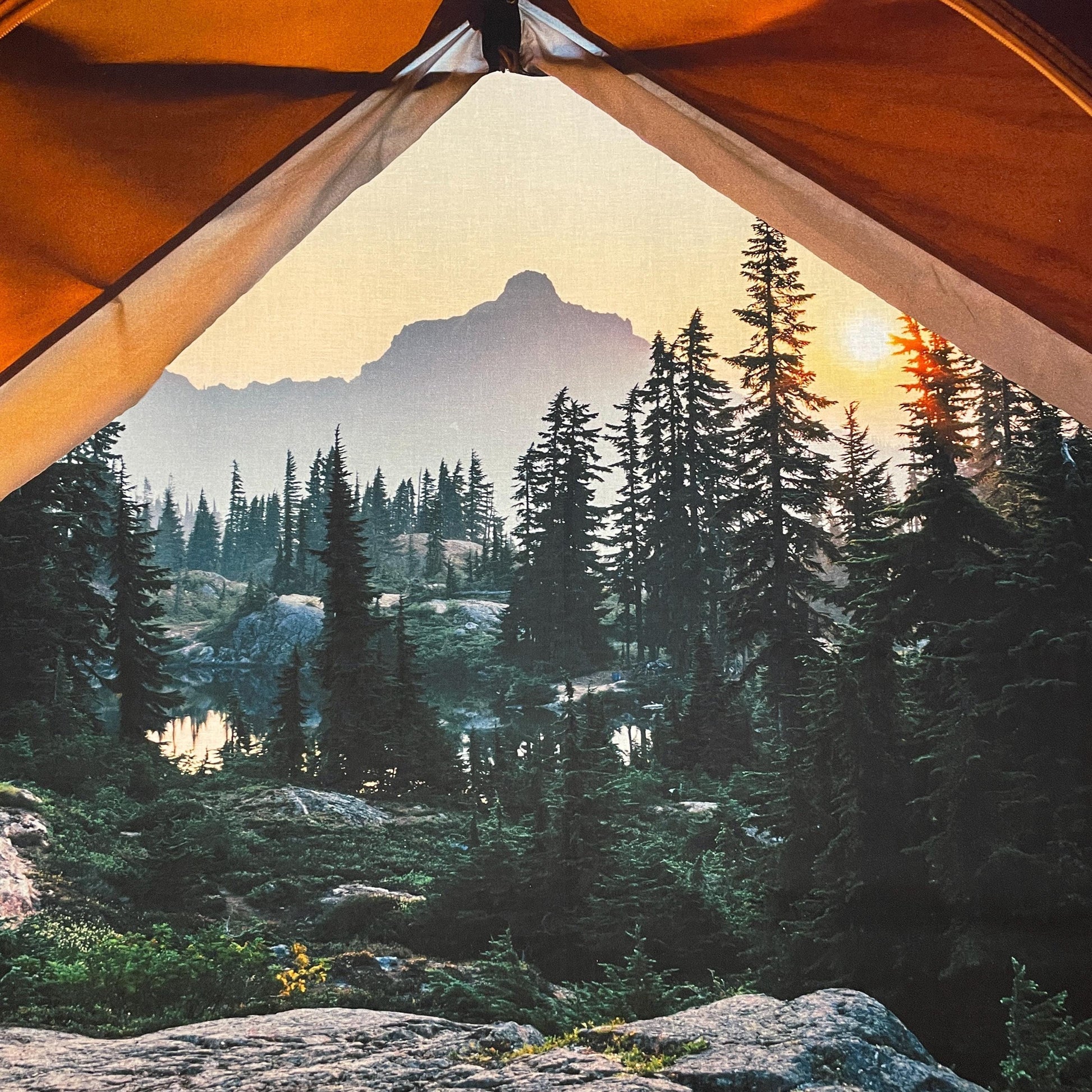 Camping Fabric Panel - 42 5/8" x 29 1/4" - 100% Cotton - Hoffman - Sleeping Under the Stars - Forest Landscape