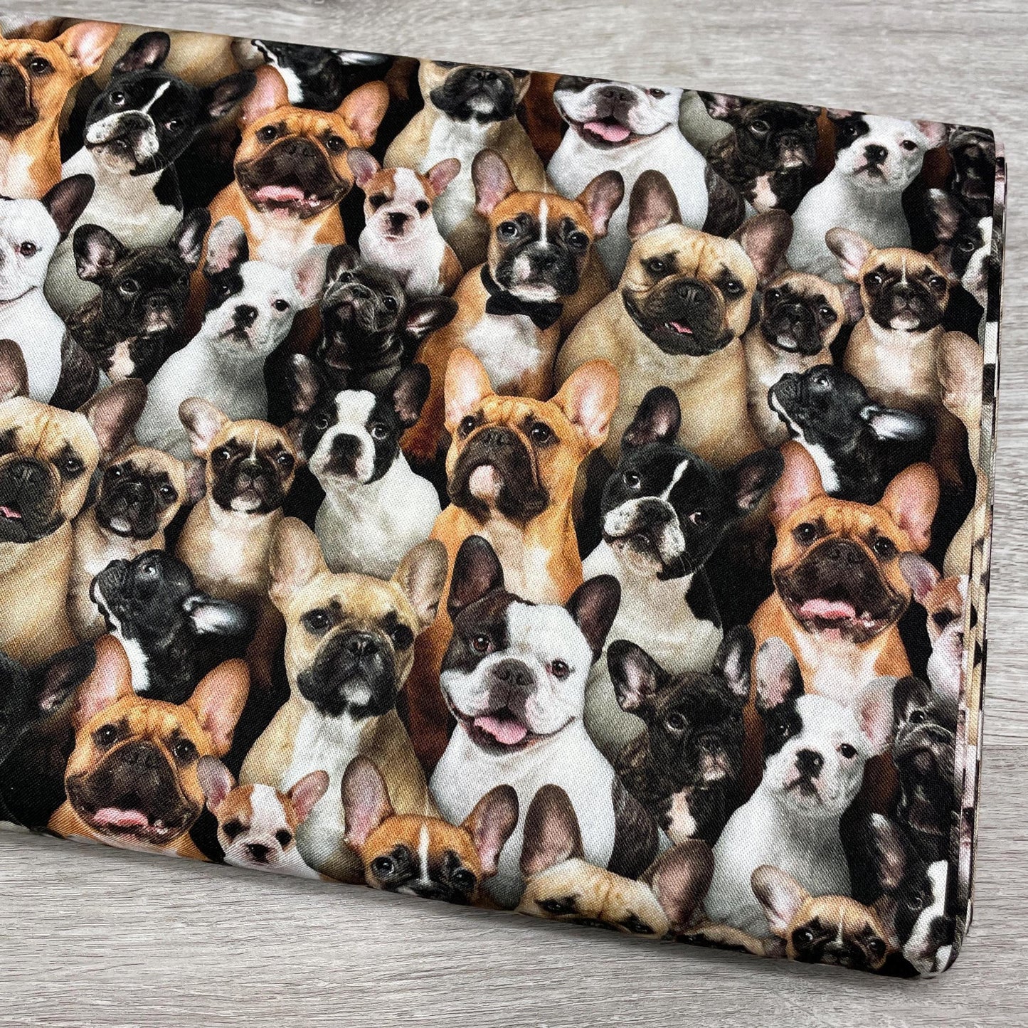 French Bulldog fabric - 687-multi - Elizabeth's Studio - 100% Cotton - Best Friend Collection - Frenchie