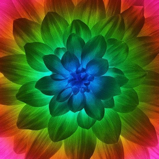 Dream Big Panel &quot;Spectrum&quot; by Hoffman Fabrics - 43&quot; Square - 100% cotton fabric - fabric panels floral material quilting - SHIPS NEXT DAY