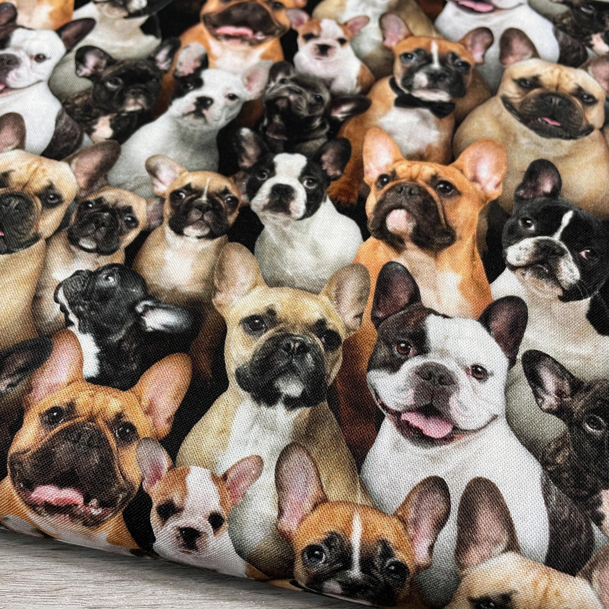 French Bulldog fabric - 687-multi - Elizabeth's Studio - 100% Cotton - Best Friend Collection - Frenchie